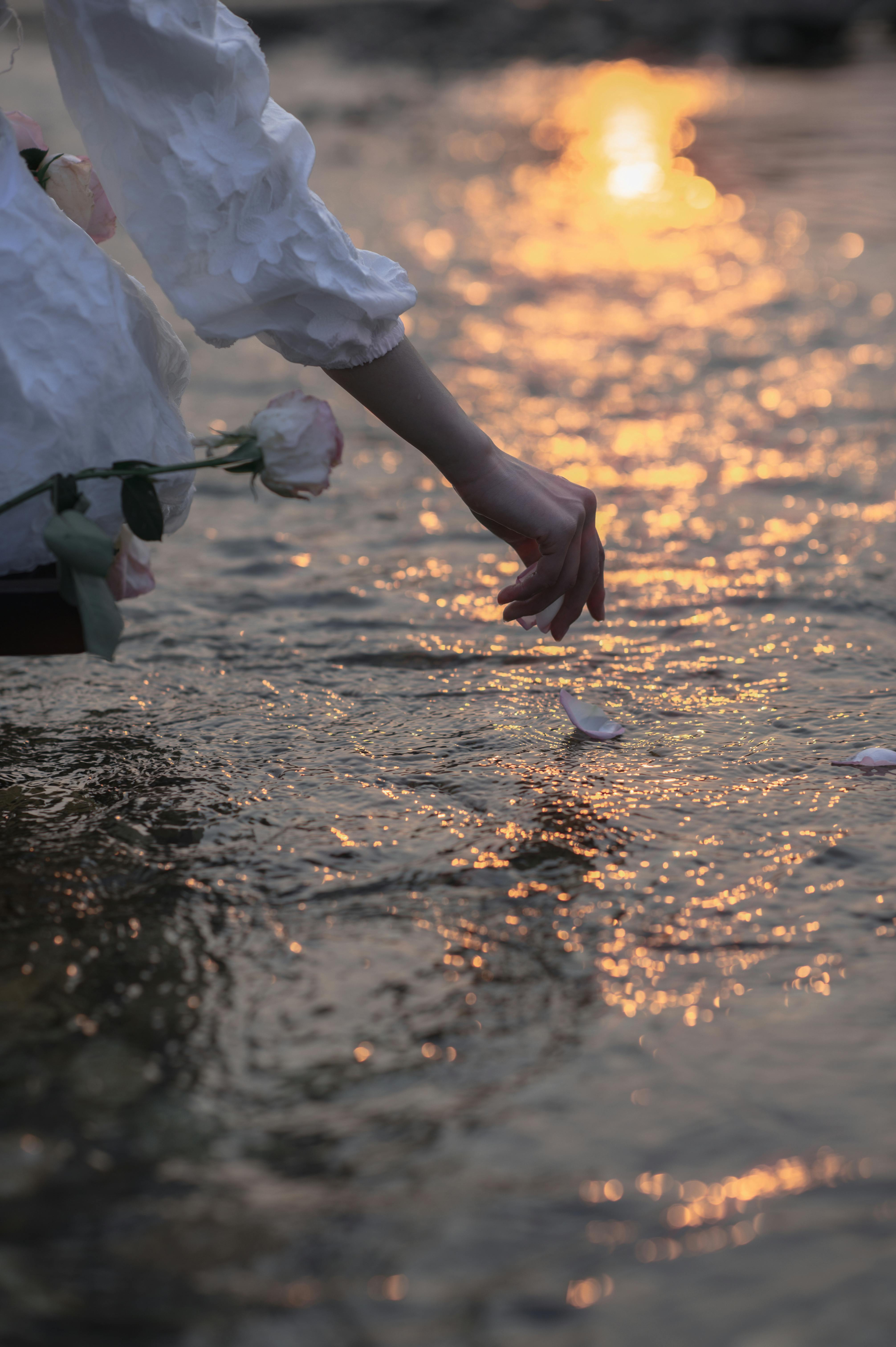 作者头像：Chuot_Anhls